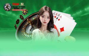 OK9 – Thương Hiệu Bền Vững Giữa Thị Trường Đầy Biến Động