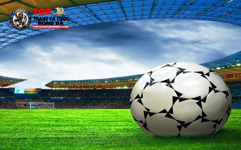 Định nghĩa, khái niệm cơ bản để bạn hiểu rõ cơ hội kép là gì? Định nghĩa, khái niệm cơ bản để bạn hiểu rõ cơ hội kép là gì?