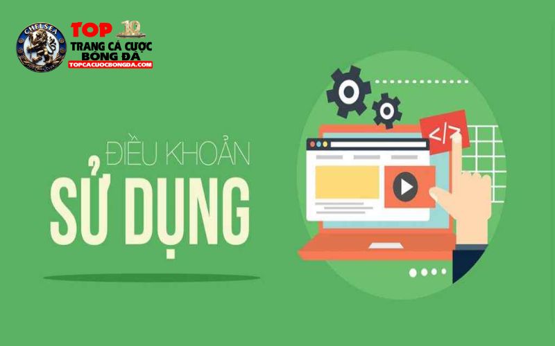 Mức độ quan trọng của điều khoản sử dụng tại topcacuobongda
