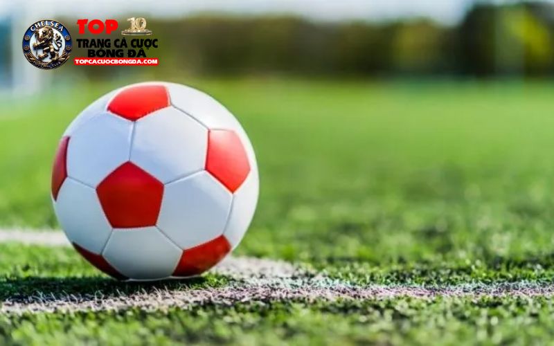 Các loại kèo phổ biến để hiểu rõ hơn kèo phạt góc là gì? Các loại kèo phổ biến để hiểu rõ hơn kèo phạt góc là gì?