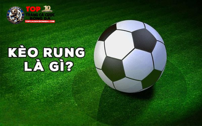 Kèo rung là gì? Giới thiệu các loại kèo rung phổ biến Kèo rung là gì? Giới thiệu các loại kèo rung phổ biến