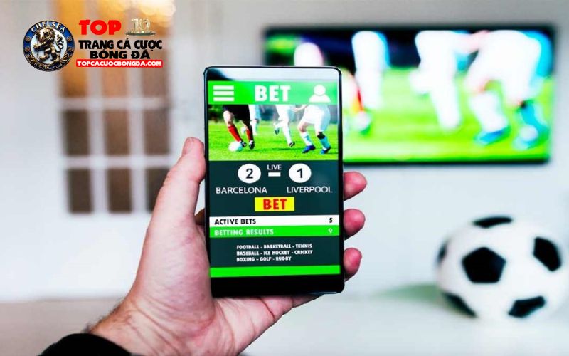 Những lưu ý khi tham gia web cá độ bóng đá bạn nên biết